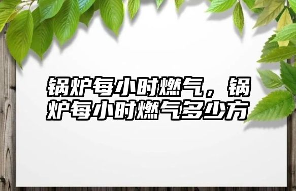 鍋爐每小時燃?xì)?，鍋爐每小時燃?xì)舛嗌俜?/>	
								</i>
								<p class=