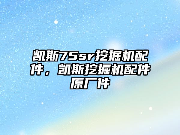 凱斯75sr挖掘機配件，凱斯挖掘機配件原廠件