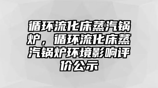 循環流化床蒸汽鍋爐，循環流化床蒸汽鍋爐環境影響評價公示