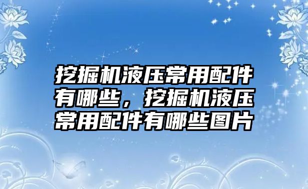 挖掘機液壓常用配件有哪些，挖掘機液壓常用配件有哪些圖片