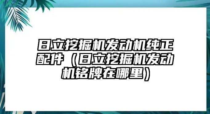 日立挖掘機發動機純正配件（日立挖掘機發動機銘牌在哪里）