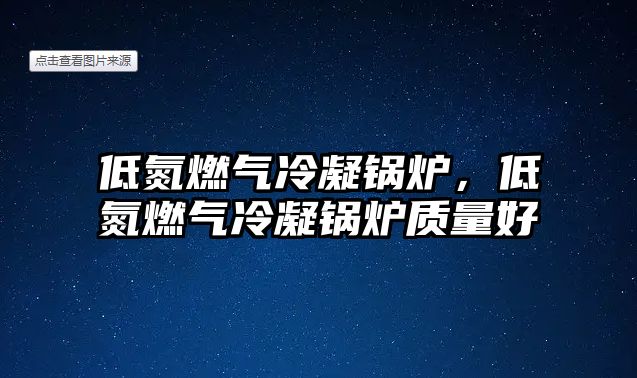 低氮燃氣冷凝鍋爐，低氮燃氣冷凝鍋爐質(zhì)量好