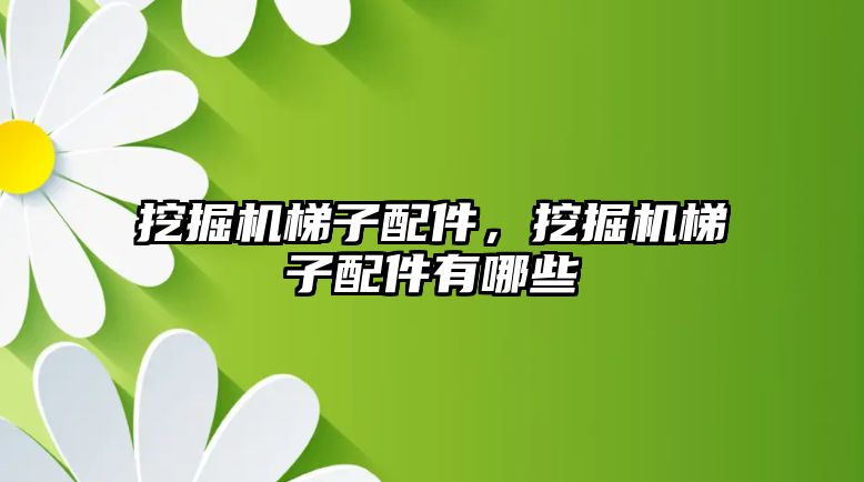 挖掘機梯子配件，挖掘機梯子配件有哪些