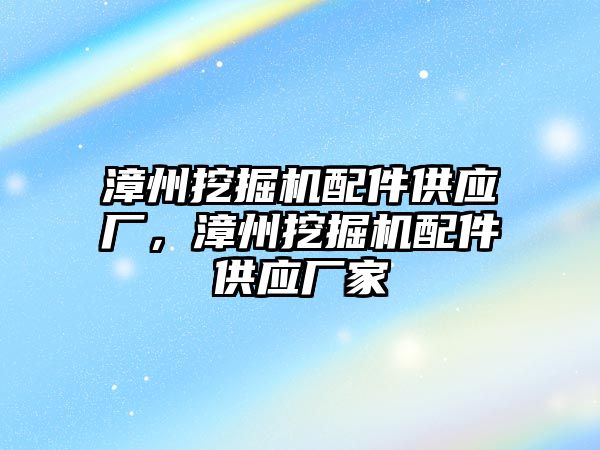 漳州挖掘機配件供應廠，漳州挖掘機配件供應廠家