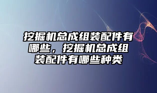 挖掘機總成組裝配件有哪些，挖掘機總成組裝配件有哪些種類