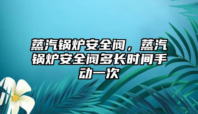 蒸汽鍋爐安全閥，蒸汽鍋爐安全閥多長時間手動一次