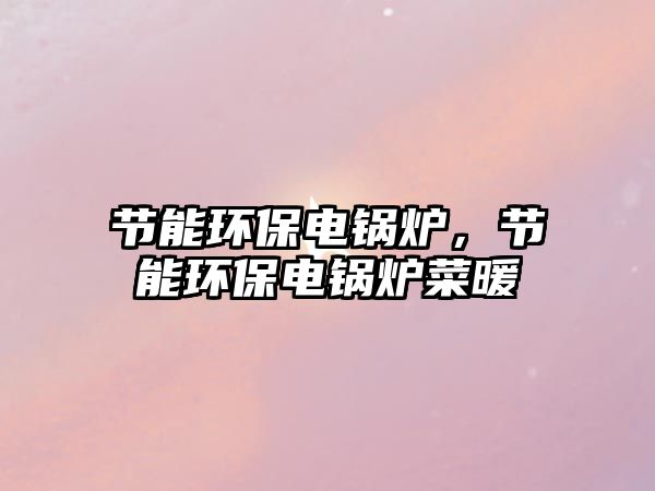 節能環保電鍋爐，節能環保電鍋爐菜暖