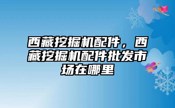 西藏挖掘機配件，西藏挖掘機配件批發市場在哪里