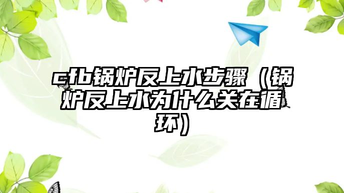 cfb鍋爐反上水步驟（鍋爐反上水為什么關(guān)在循環(huán)）