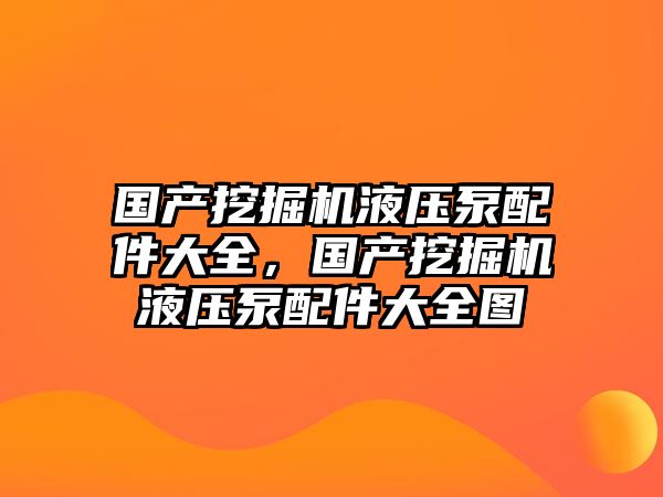 國產挖掘機液壓泵配件大全，國產挖掘機液壓泵配件大全圖