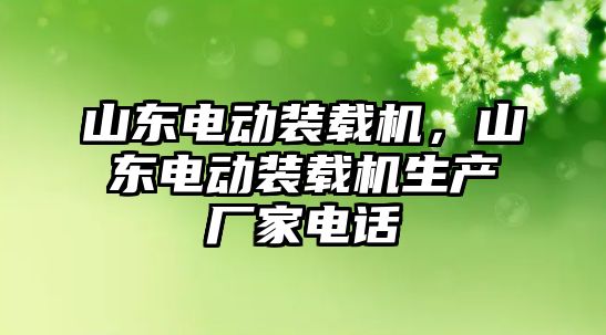 山東電動裝載機，山東電動裝載機生產廠家電話