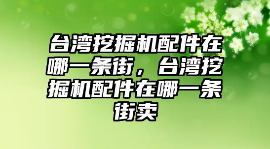 臺灣挖掘機配件在哪一條街，臺灣挖掘機配件在哪一條街賣