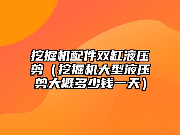 挖掘機配件雙缸液壓剪（挖掘機大型液壓剪大概多少錢一天）