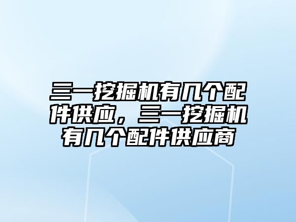 三一挖掘機有幾個配件供應，三一挖掘機有幾個配件供應商