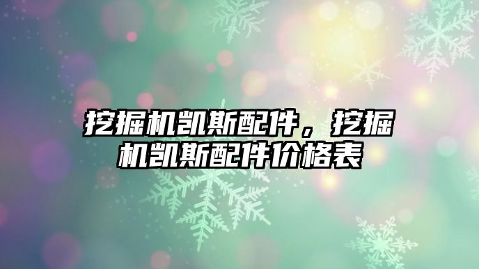 挖掘機(jī)凱斯配件，挖掘機(jī)凱斯配件價(jià)格表