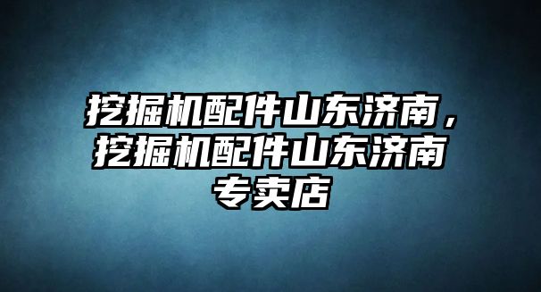 挖掘機(jī)配件山東濟(jì)南，挖掘機(jī)配件山東濟(jì)南專賣店