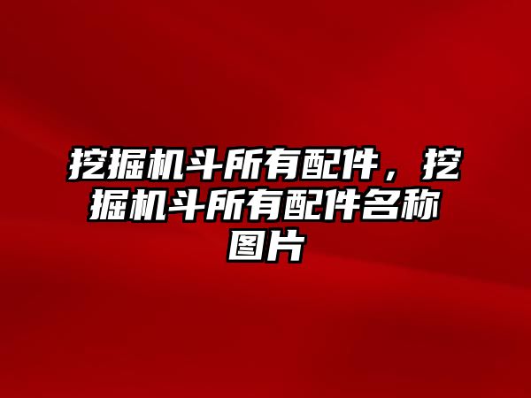 挖掘機斗所有配件，挖掘機斗所有配件名稱圖片