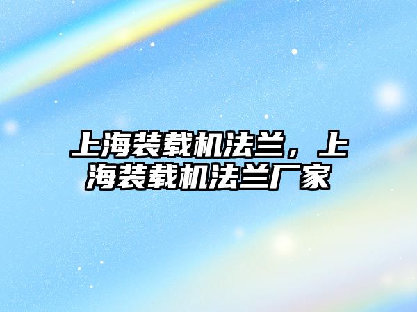 上海裝載機法蘭，上海裝載機法蘭廠家