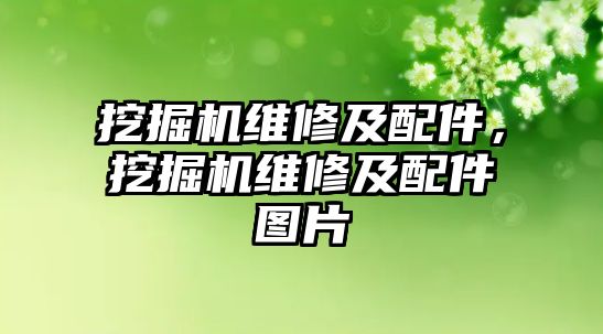 挖掘機維修及配件，挖掘機維修及配件圖片