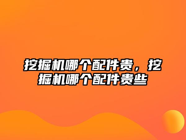 挖掘機(jī)哪個(gè)配件貴，挖掘機(jī)哪個(gè)配件貴些