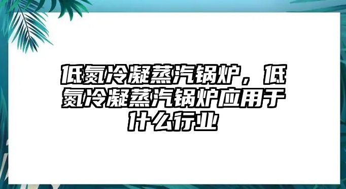 低氮冷凝蒸汽鍋爐，低氮冷凝蒸汽鍋爐應用于什么行業