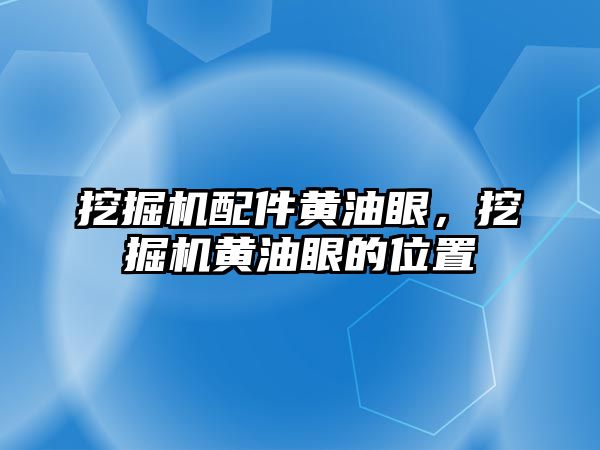 挖掘機配件黃油眼，挖掘機黃油眼的位置