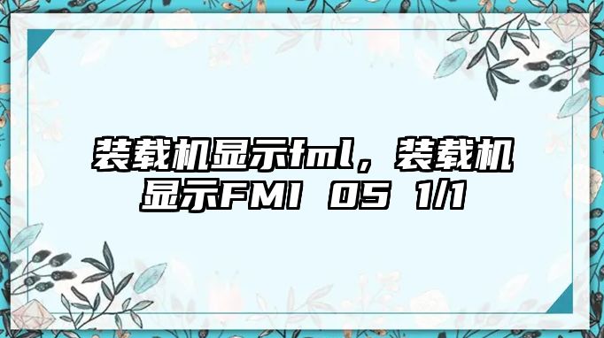 裝載機顯示fml，裝載機顯示FMI 05 1/1