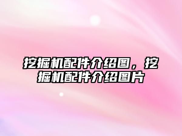 挖掘機配件介紹圖，挖掘機配件介紹圖片