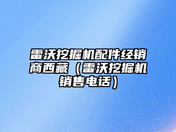 雷沃挖掘機配件經銷商西藏（雷沃挖掘機銷售電話）