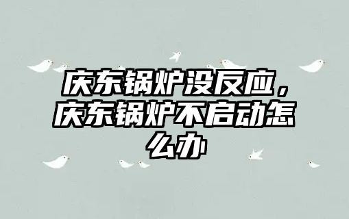 慶東鍋爐沒反應，慶東鍋爐不啟動怎么辦