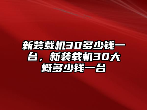 新裝載機30多少錢一臺，新裝載機30大概多少錢一臺