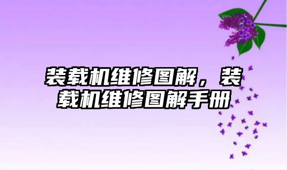 裝載機維修圖解，裝載機維修圖解手冊