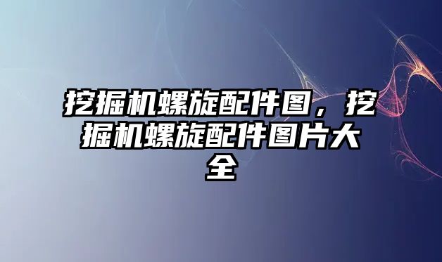 挖掘機螺旋配件圖，挖掘機螺旋配件圖片大全