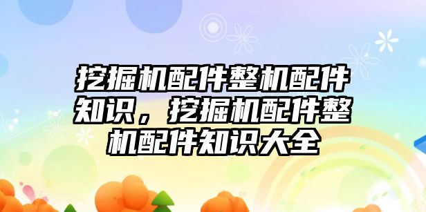 挖掘機(jī)配件整機(jī)配件知識，挖掘機(jī)配件整機(jī)配件知識大全