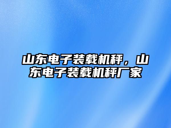 山東電子裝載機秤，山東電子裝載機秤廠家