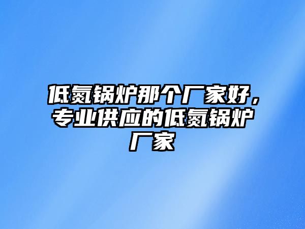 低氮鍋爐那個廠家好，專業供應的低氮鍋爐廠家