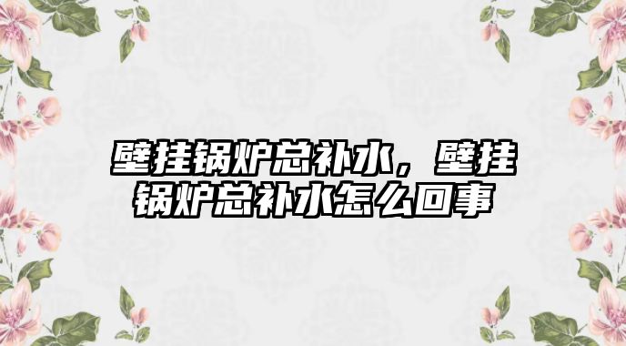 壁掛鍋爐總補水，壁掛鍋爐總補水怎么回事