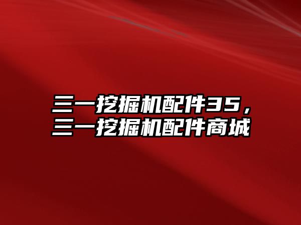 三一挖掘機配件35，三一挖掘機配件商城