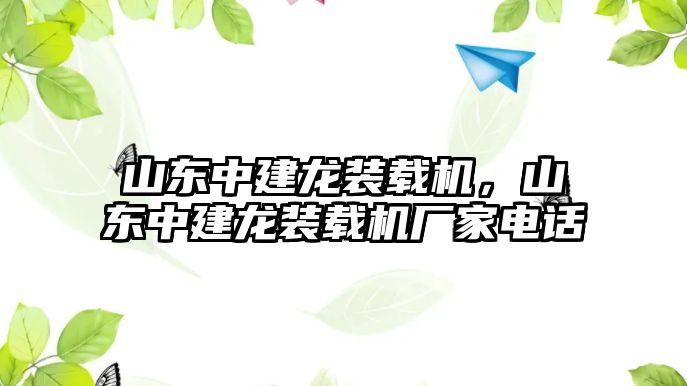 山東中建龍裝載機，山東中建龍裝載機廠家電話