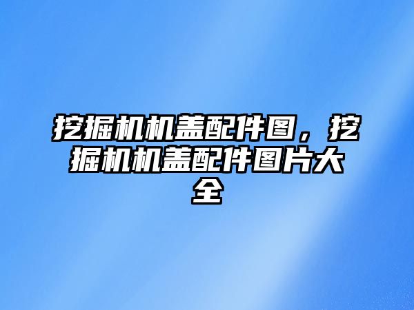 挖掘機機蓋配件圖，挖掘機機蓋配件圖片大全