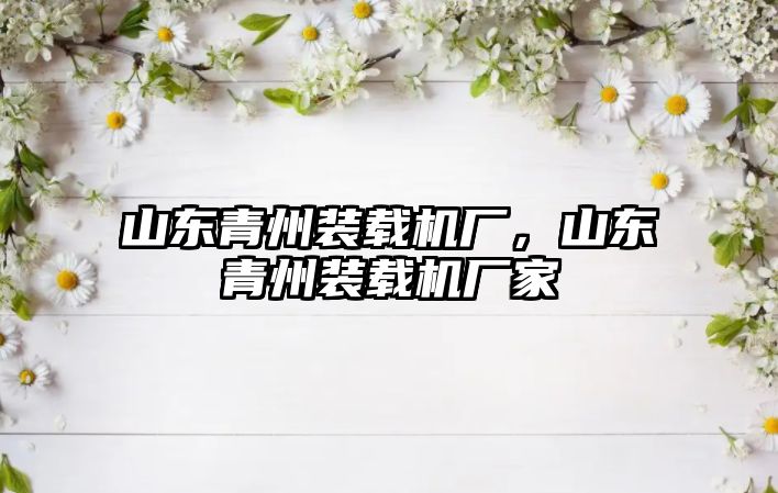 山東青州裝載機廠，山東青州裝載機廠家