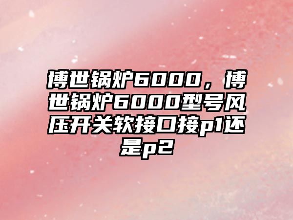 博世鍋爐6000，博世鍋爐6000型號(hào)風(fēng)壓開(kāi)關(guān)軟接口接p1還是p2