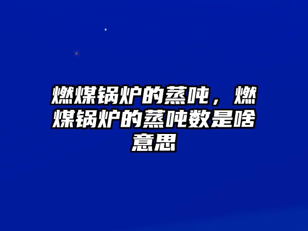 燃煤鍋爐的蒸噸，燃煤鍋爐的蒸噸數是啥意思