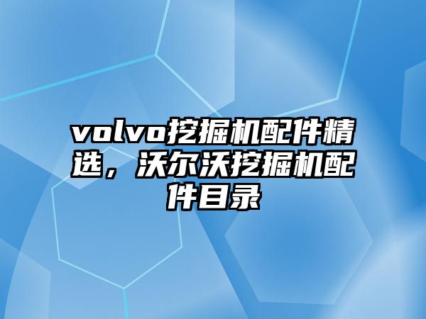 volvo挖掘機配件精選，沃爾沃挖掘機配件目錄