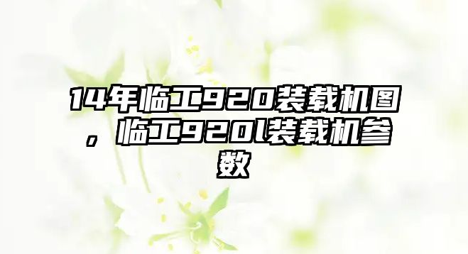 14年臨工920裝載機(jī)圖，臨工920l裝載機(jī)參數(shù)