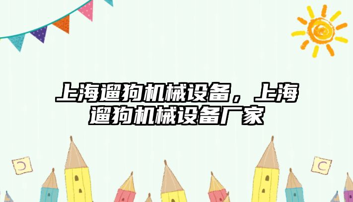 上海遛狗機(jī)械設(shè)備，上海遛狗機(jī)械設(shè)備廠家