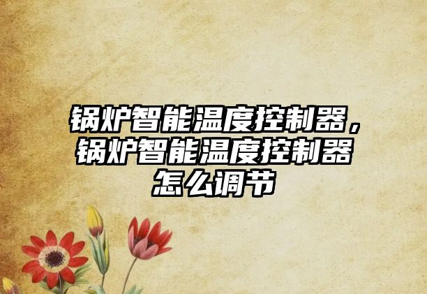 鍋爐智能溫度控制器，鍋爐智能溫度控制器怎么調節