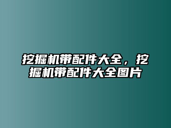 挖掘機帶配件大全，挖掘機帶配件大全圖片