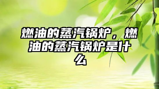 燃油的蒸汽鍋爐，燃油的蒸汽鍋爐是什么