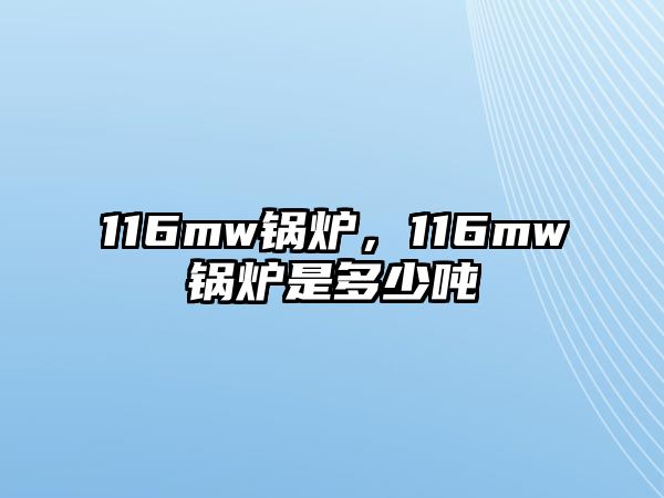 116mw鍋爐，116mw鍋爐是多少噸